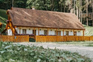 LOLO Park Resort - Lacu Rosu - 9