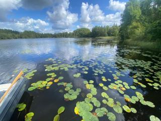 Ferienhaus am See - 4