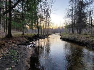 Secluded A-Frame Cabin with Private Riverfront on Little Manistee River near Tustin, Michigan - Luther - 2