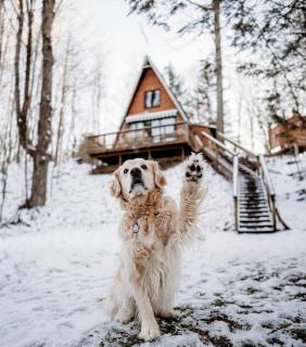 Secluded A-Frame Cabin with Private Riverfront on Little Manistee River near Tustin, Michigan - 5