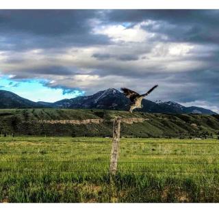 Luxury Safari Tent in Irwin, Idaho near Palisades Lake and Jackson Hole - 7
