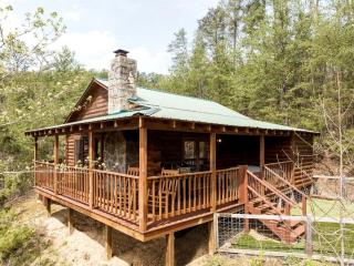 Renovated Cabin Near Great Smoky Mountains National Park, Tennessee - 0