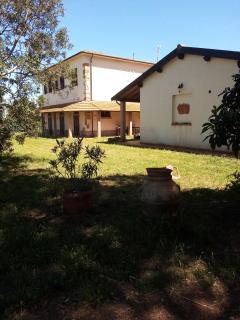 Agriturismo Contessa Beatrice - San Vincenzo - 4