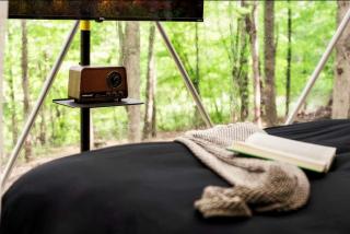 Cozy Dome Nestled in the Trees for an Unforgettable Couples Glamping Getaway in Scott County, Tennessee - 8