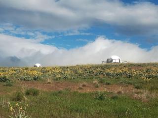 Beautiful Dome for a Romantic Glamping Escape with Breathtaking Views in Montana - - 1