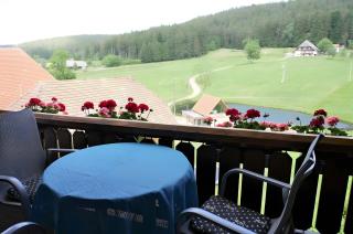 Ferienwohnung Weiherblick - Hornberg - 4