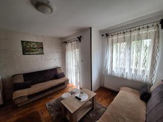 Apartman Adzic centar - Zlatibor - 8