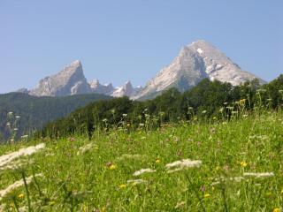 Grünsteinnest - Schönau am Königssee - 7