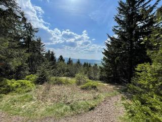GreenHolidays - Wellendingen - 0