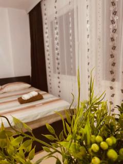 napartmentss - Pristina - 0