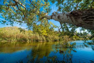 Hostal Boutique Canyamel - 3