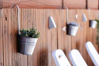 Casa Coelho - Albufeira - 1