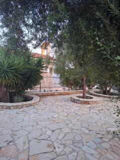 Oasis Studios AG PANTES - 0