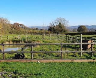 Knoll Hill Farm, The Place To Stay - Frome - 6