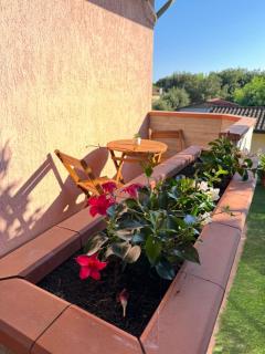 Residence Villa Eva - Marina di Massa - 4