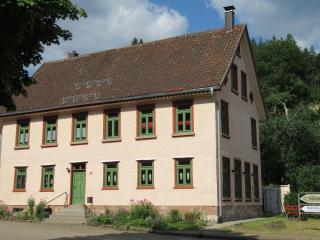 Ferienwohnung-Schoenmuenzblick-Urlaub-im-Nationalpark-Schwarzwald-Schwarzwald-Plus-inklusive - Baiersbronn - 4
