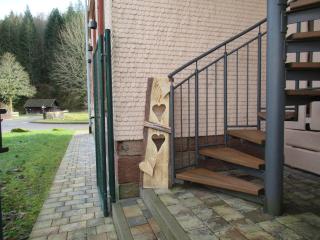 Ferienwohnung-Schoenmuenzblick-Urlaub-im-Nationalpark-Schwarzwald-Schwarzwald-Plus-inklusive - Baiersbronn - 2