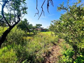Protea Ridge Guest Cottages and Conference Centre - Roodepoort - 3