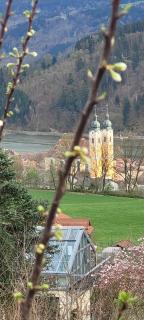 Villa Rosa - 7