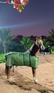 Haras elegante de alto padrão todo pra você - 3