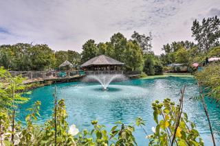 Resort Cabin 1 Mi to Middle Bass Island State Park - - 2