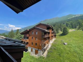 Studio cosy 4 pers., balcon, à 80m des pistes, animaux acceptés, parking - FR-1-356-466 - 1