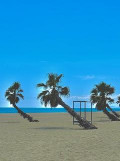 Agréable appartement vue sur la mer pour deux personnes 4PALMB514 - 2