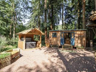 Tanglewood Shepherds Hut - Welshpool - 0