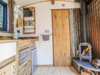 Tanglewood Shepherds Hut - Welshpool - 3