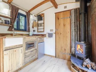 Tanglewood Shepherds Hut - Welshpool - 4