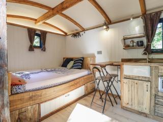 Tanglewood Shepherds Hut - Welshpool - 1