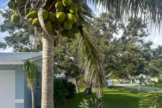 Quiet Venice Retreat with Private Lanai and Pool! - Venice - 9