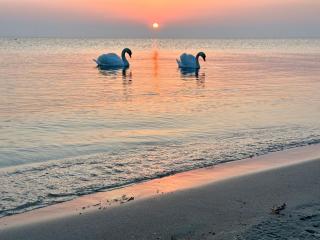 Bungalow am Meer - Thiessow - 1