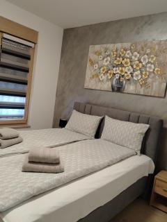 Apartman Amber Vrnjačka Banja - 6