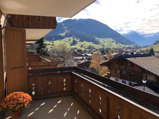 Sunny vacation home with beautiful views - Gstaad - 3