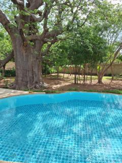 Villa Oasis - 2