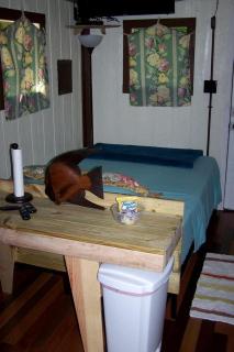 Cozy Tiny House in Tennessee Forest with Loft Beds & Country Breakfast - 2