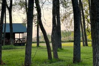 Rustic Riverside Cabin Retreat for Families in Belfast, NY - Oramel - 4