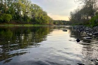 Rustic Riverside Cabin Retreat for Families in Belfast, NY - Oramel - 2