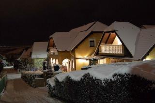 Apartments in Heviz - Balaton 18886 - 1