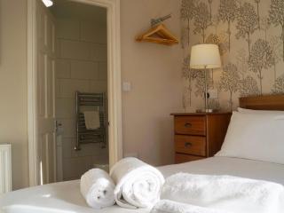 Brown Snout - Ledbury - 2