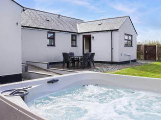 Ty'n Cae Cottage - 0