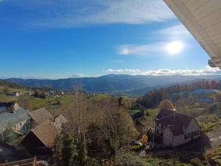 Grande maison, jusqu’à 14 personnes, calme entre forêt et montagne - FR-1-744-47 - Hohrod - 0