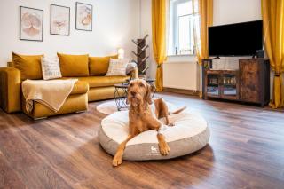 Gästewohnung Auszeit - Regis-Breitingen - 7