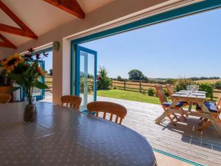Little Chywoon Barn - Truro - 7