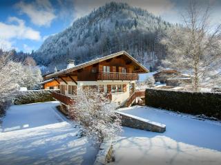 Chalet Bolay - OVO Network - Montriond - 9