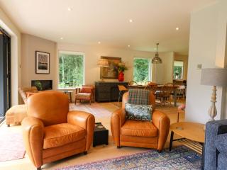Lakeside Lodge - Etchingham - 3