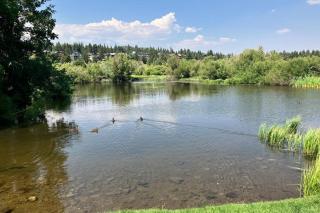 Snowcreek 521 - Mammoth Lakes - 5