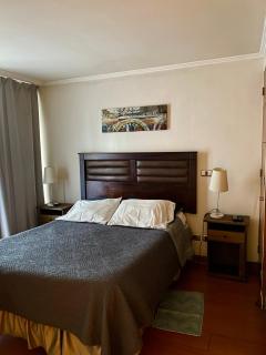 Providencia 2 ambientes suite - Santiago - 2