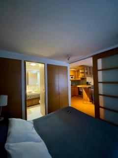 Providencia 2 ambientes suite - Santiago - 5